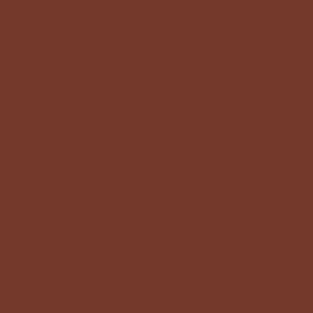 Akrilfesték matt 50 ml vörösbarna- Pentart (0000893)