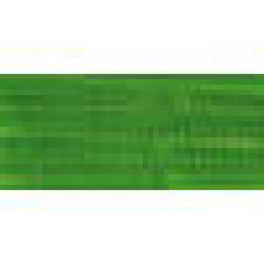 Zsenília zöld (0000950)